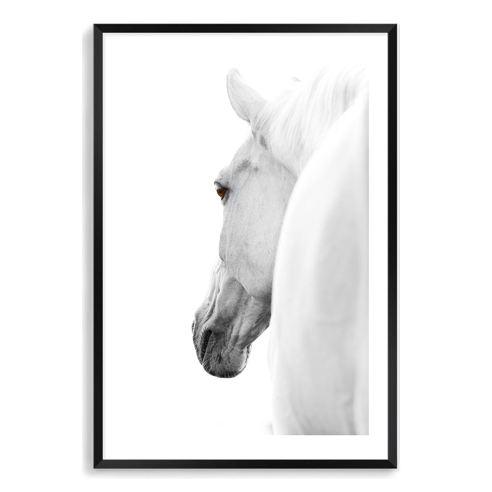 White Stallion Horse Wall Art Photograph Print or Canvas Black Framed or Unframed Beautiful Home Decor