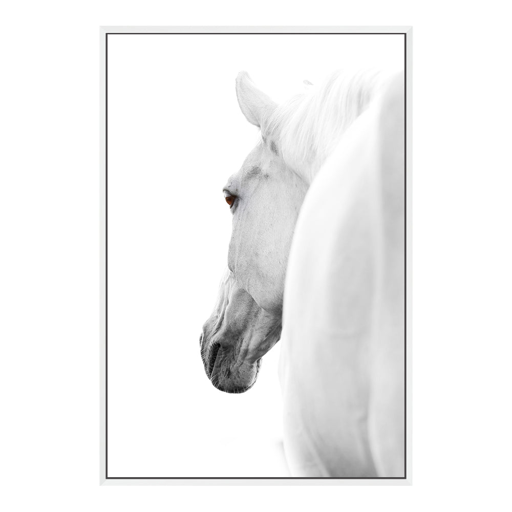 White Stallion Horse Wall Art Photograph Print or Canvas Framed White or Unframed Beautiful Home Decor