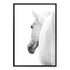 White Stallion Horse Wall Art Photograph Print or Canvas Framed in black or Unframed Beautiful Home Decor