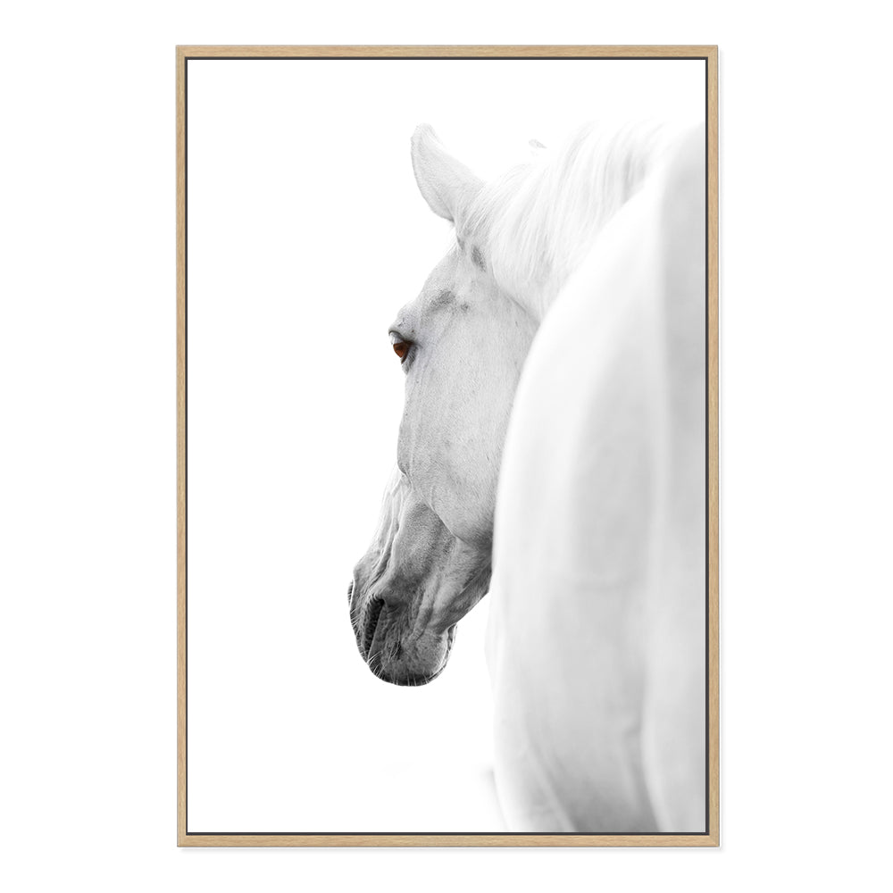 White Stallion Horse Wall Art Photograph Print or Canvas Framed in timber or Unframed Beautiful Home Decor