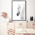 White Stallion Horse Wall Art Photograph Print or Canvas Framed or Unframed Dining Room Beautiful Home Decor