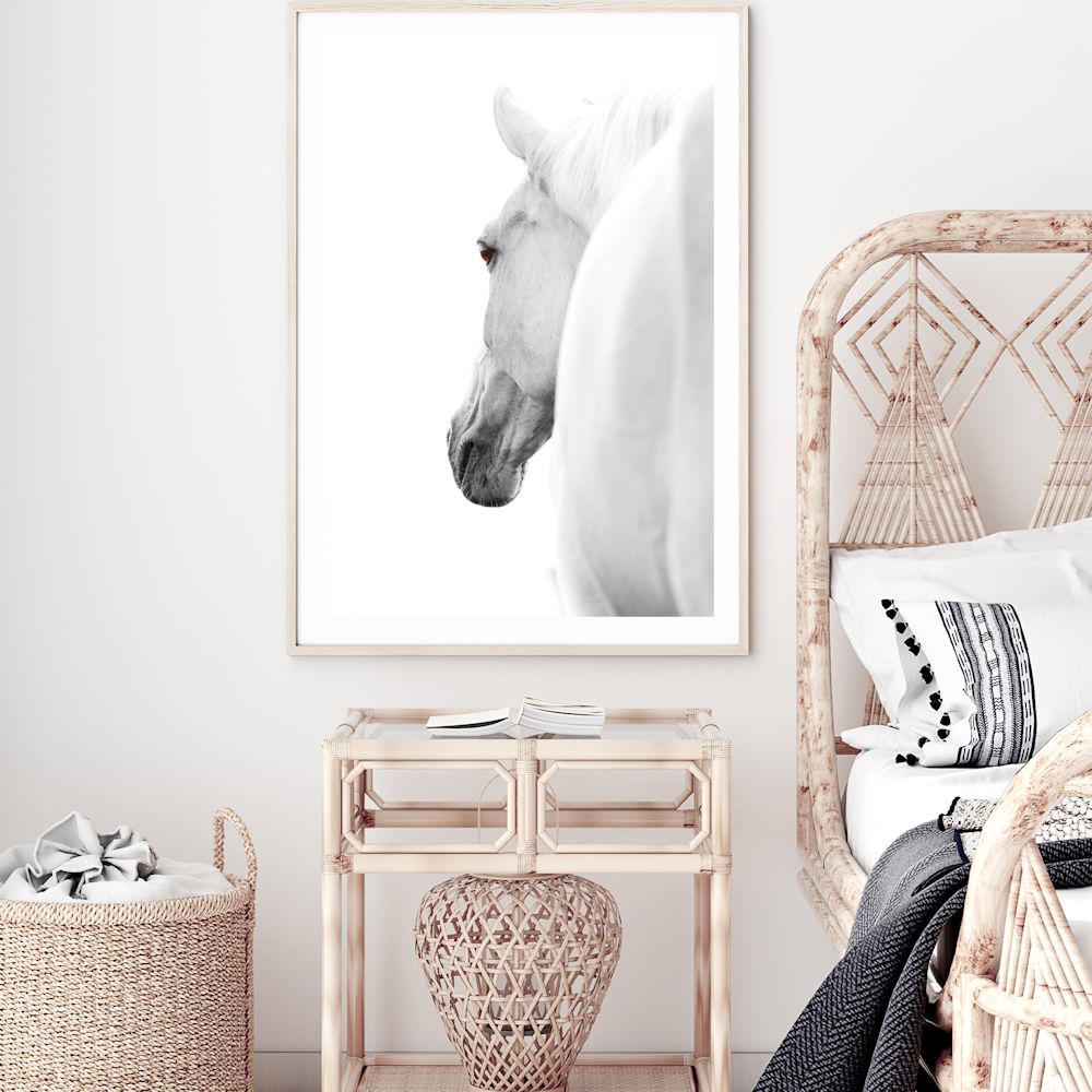 White Stallion Horse Wall Art Photograph Print or Canvas Framed or Unframed in Bedroom Beautiful Home Decor