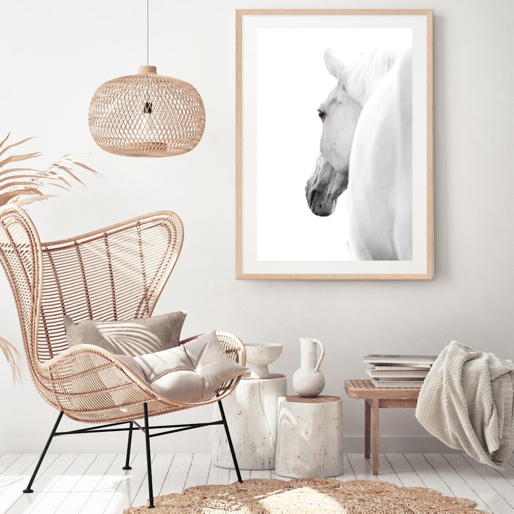 White Stallion Horse Wall Art Photograph Print or Canvas Framed or Unframed in Office Beautiful Home Decor