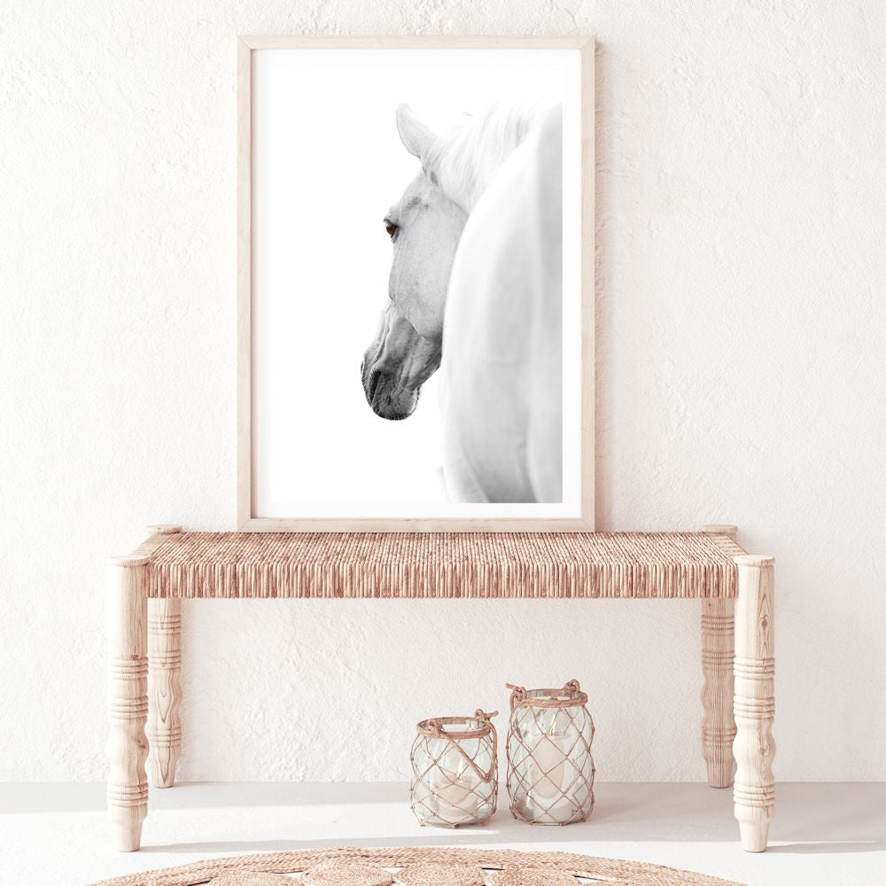 White Stallion Horse Wall Art Photograph Print or Canvas Framed or Unframed in hallway Beautiful Home Decor