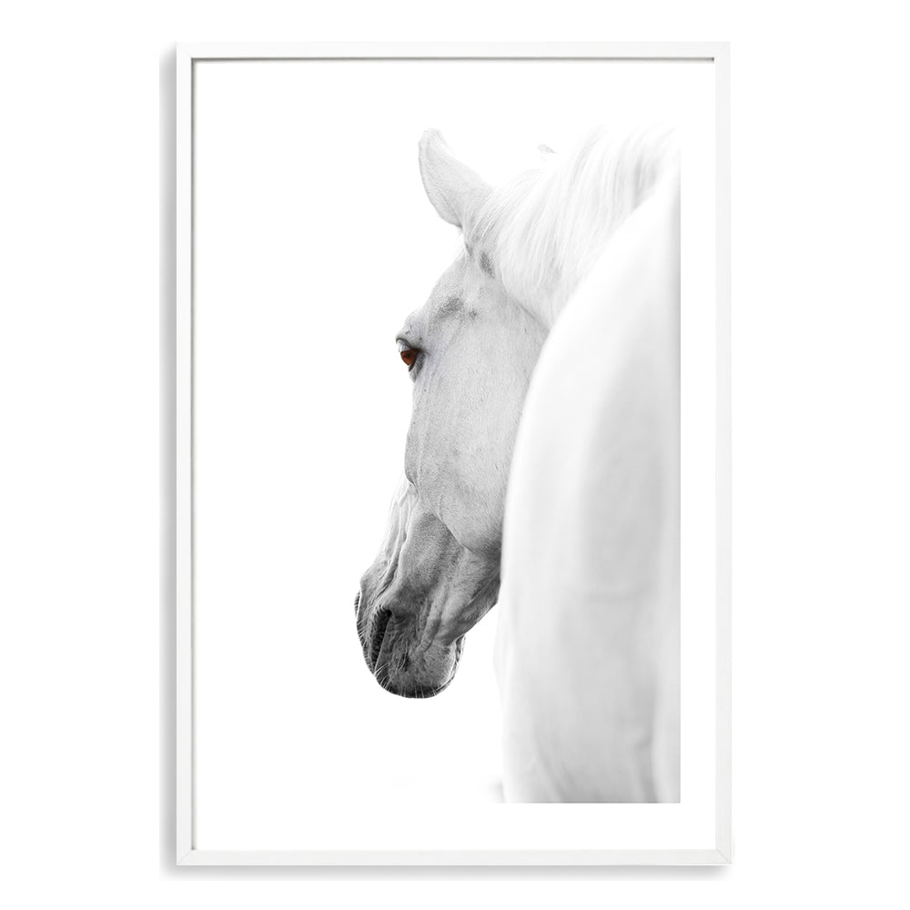 White Stallion Horse Wall Art Photograph Print or Canvas white Framed or Unframed Beautiful Home Decor