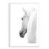 White Stallion Horse Wall Art Photograph Print or Canvas white Framed or Unframed Beautiful Home Decor