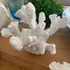 Beautiful White Tube Coral Decor decorative ornament for your coastal beach styled home decor