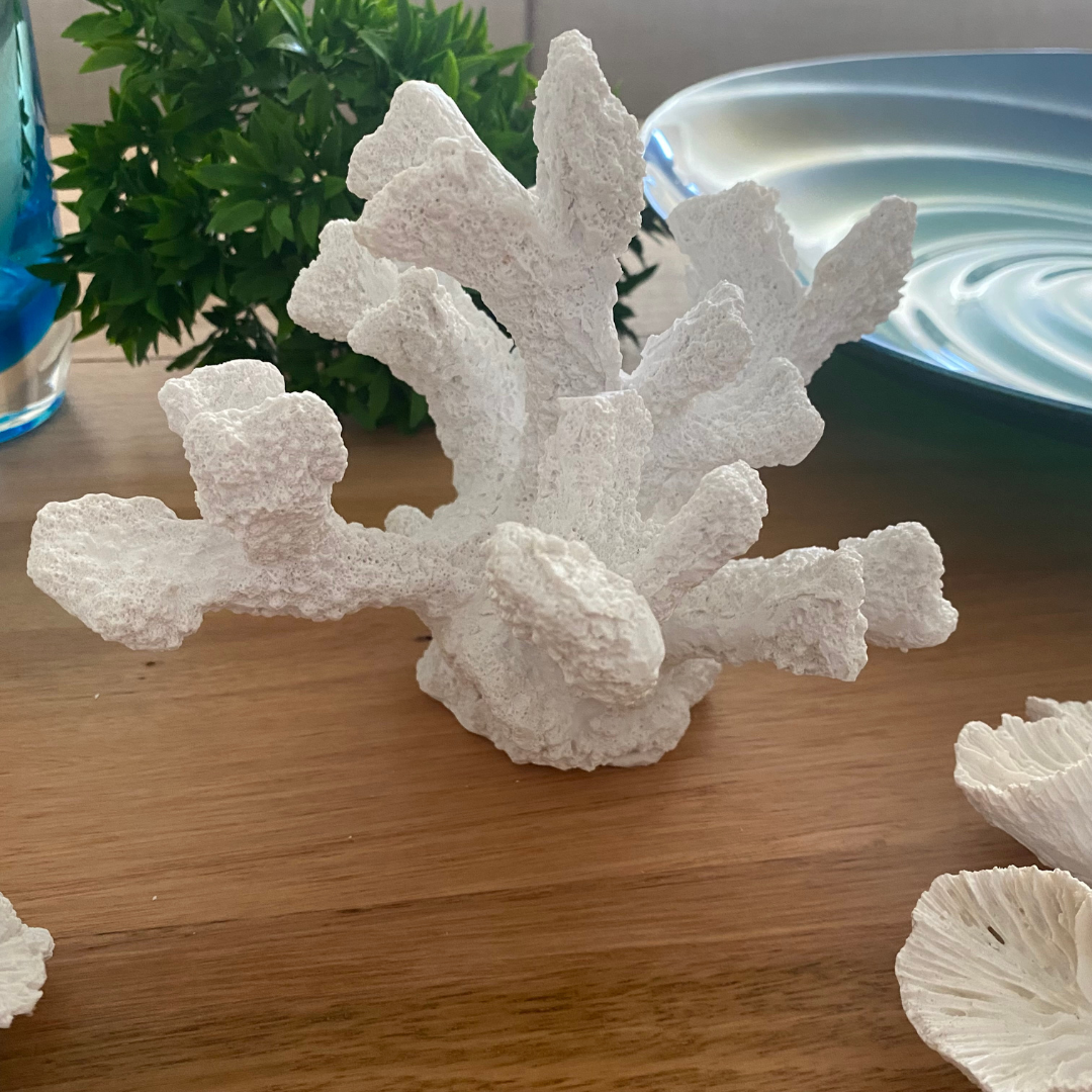 Gorgeous White Tube Coral Decor decorative ornament for your coastal beach styled home decor